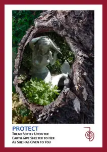 red trimmed card with tree background and mermaid statue in center text reads Protect
