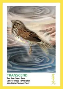 yellow trimmed card of bird with rose background text reads Transcend