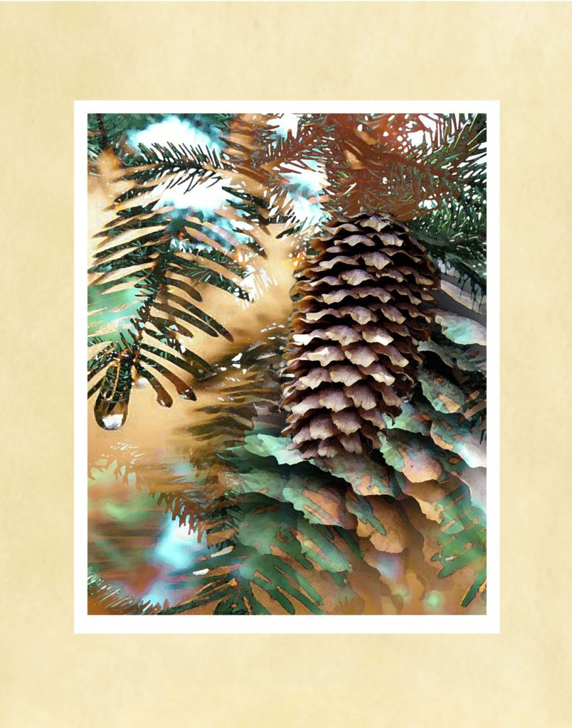 Autumn Pines