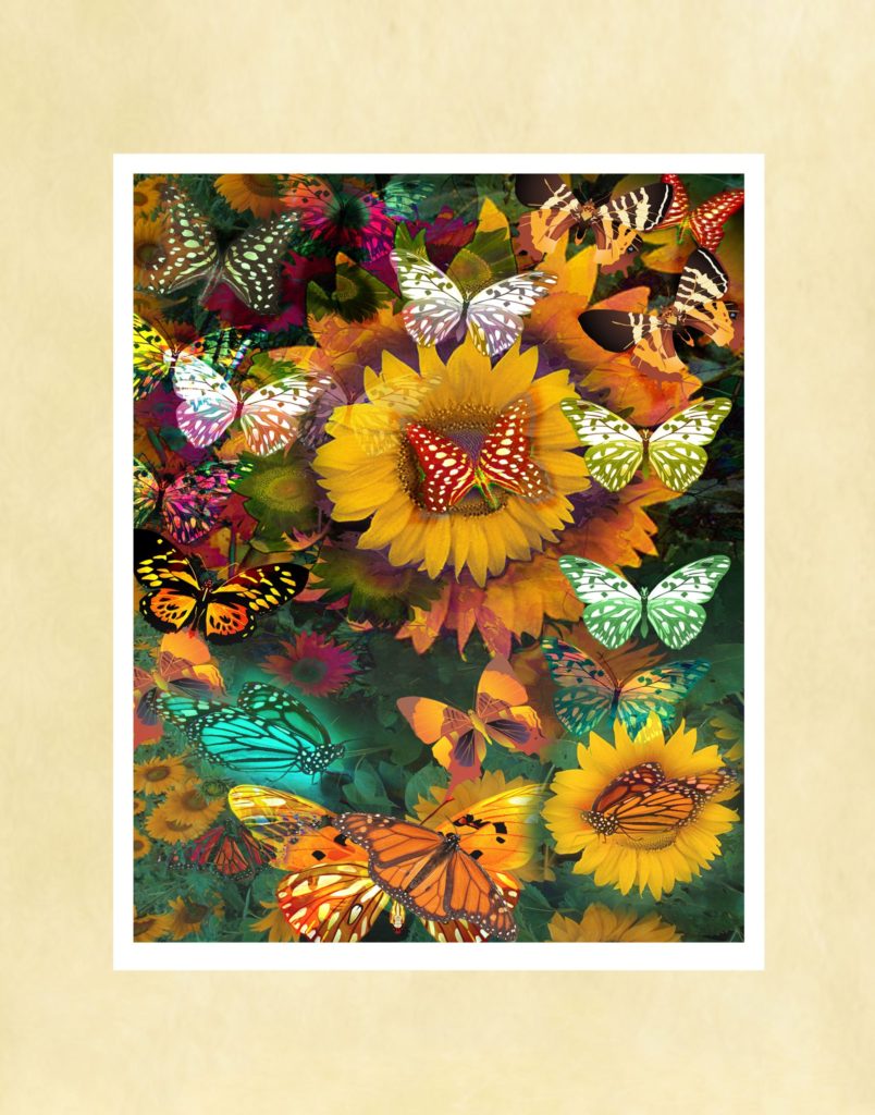 Butterfly Garden