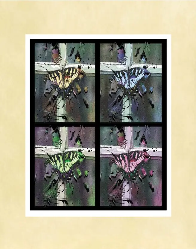 Butterfly Palette