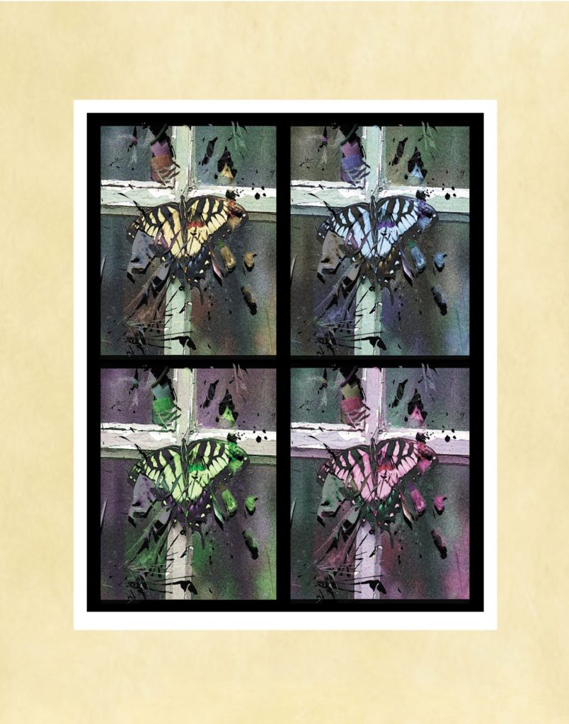 Butterfly Palette