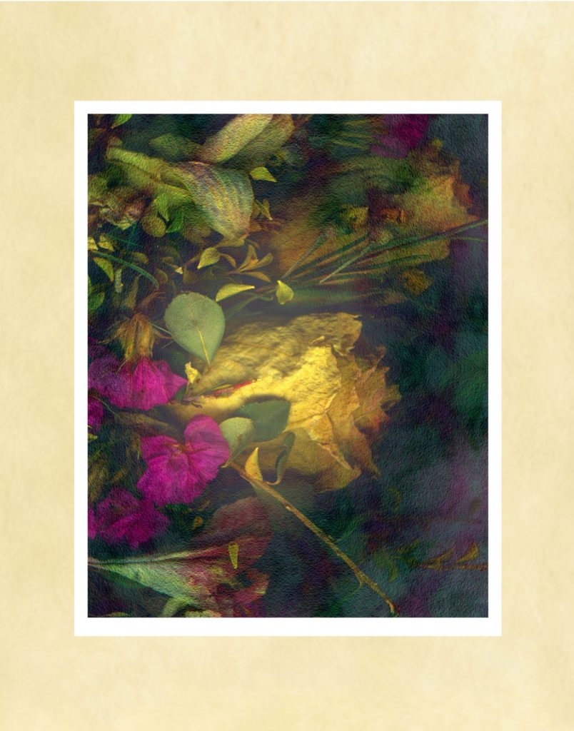 Fading Memories