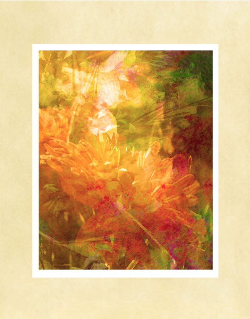 Fall Dream