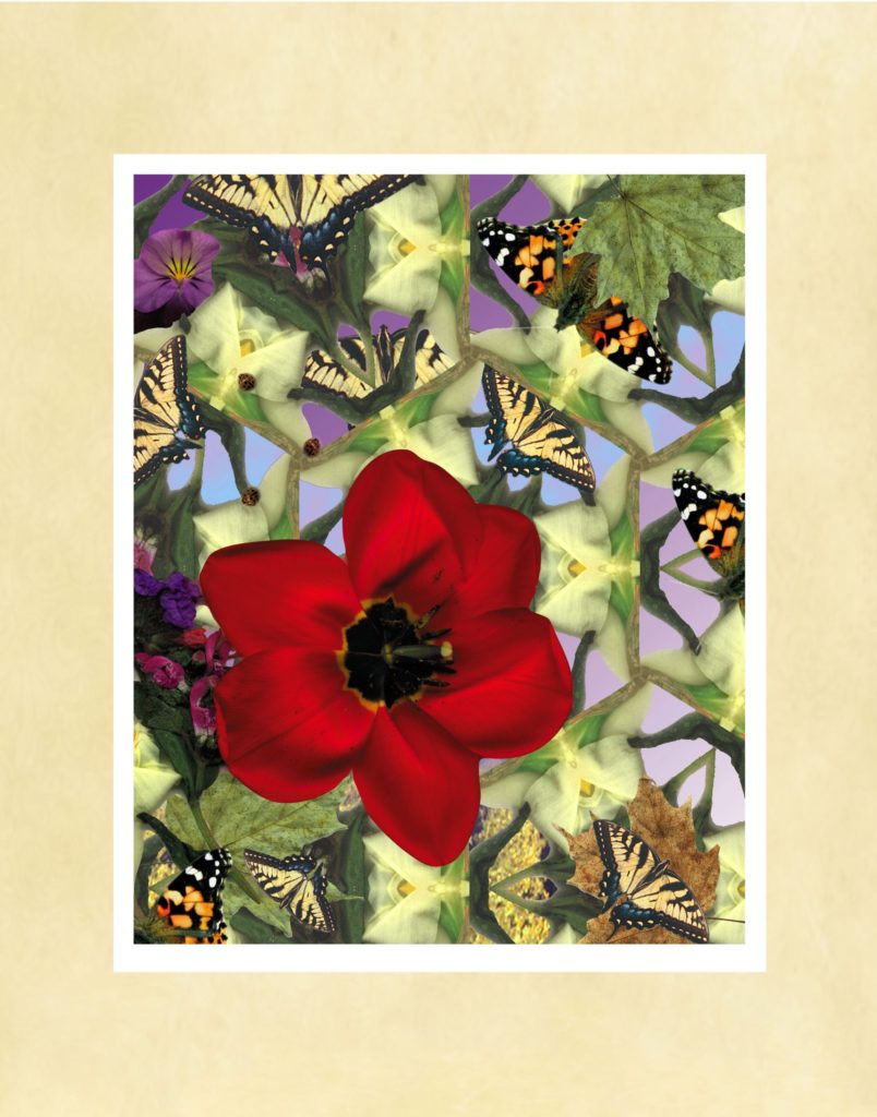 Nectar