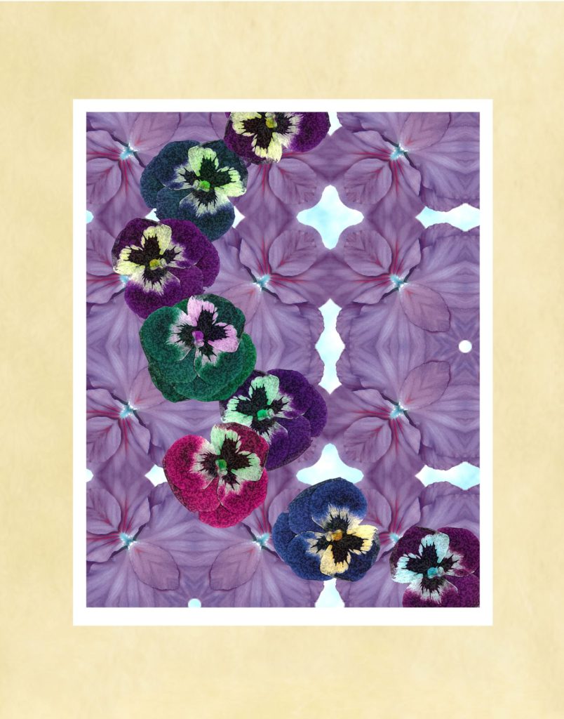 Pansy Ley