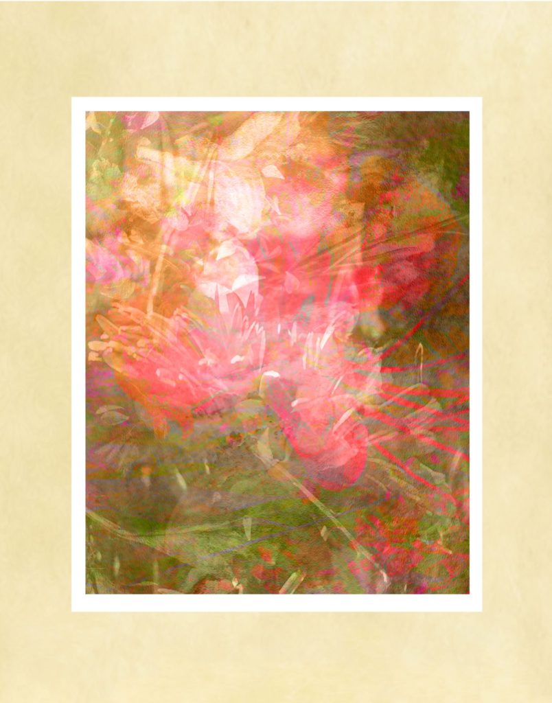 Spring Dream