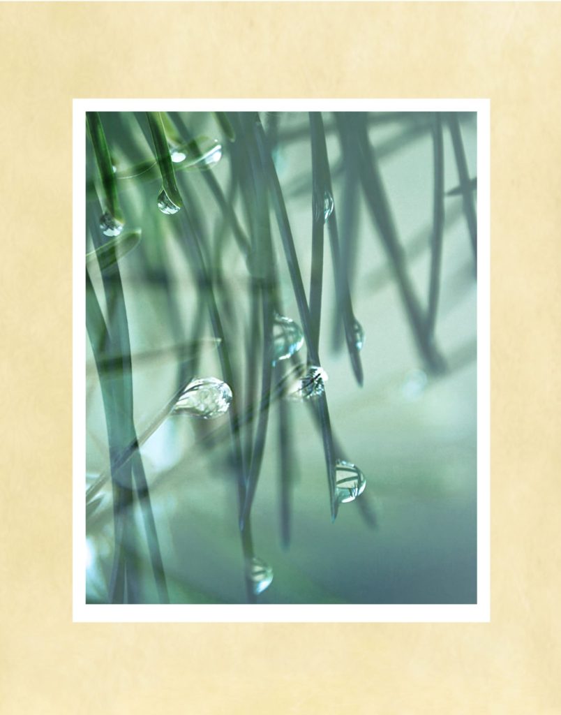Water Drops