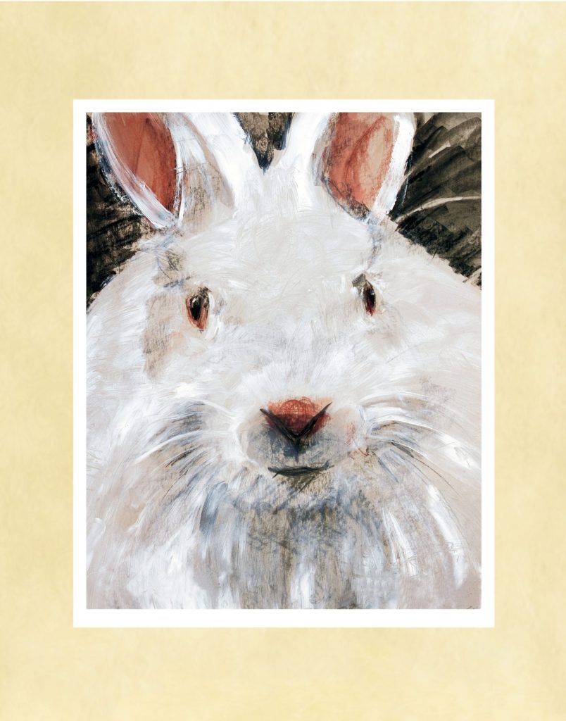 White Rabbit